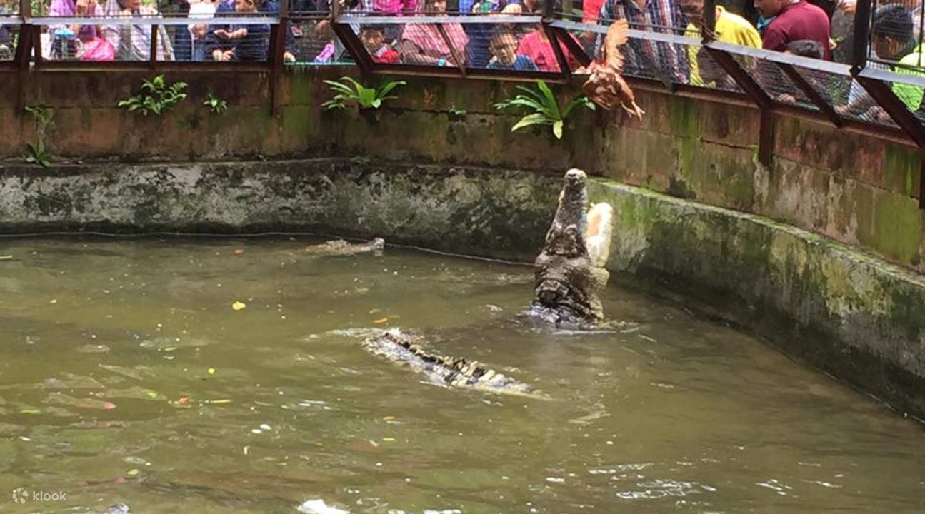 Melaka Crocodile & Recreational Park